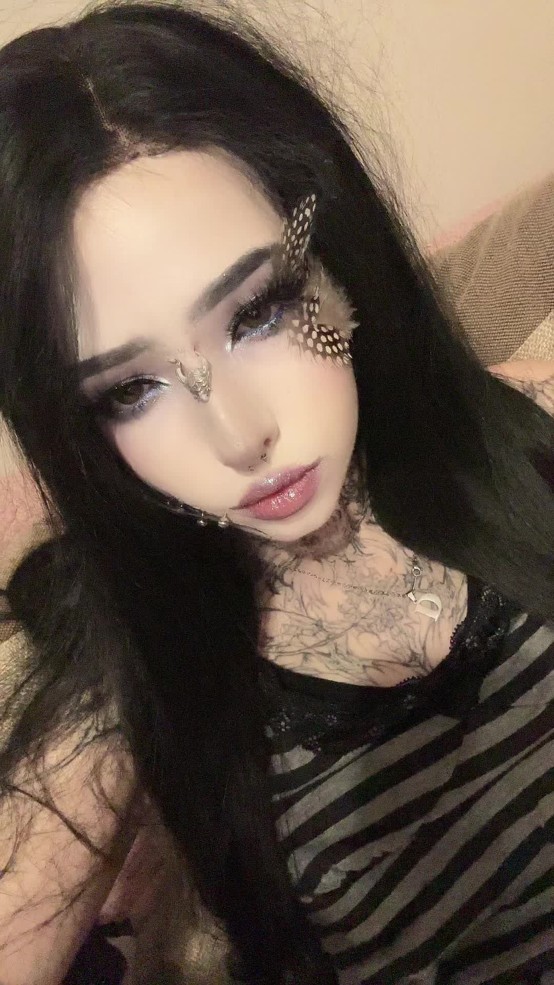 @dark dynasty