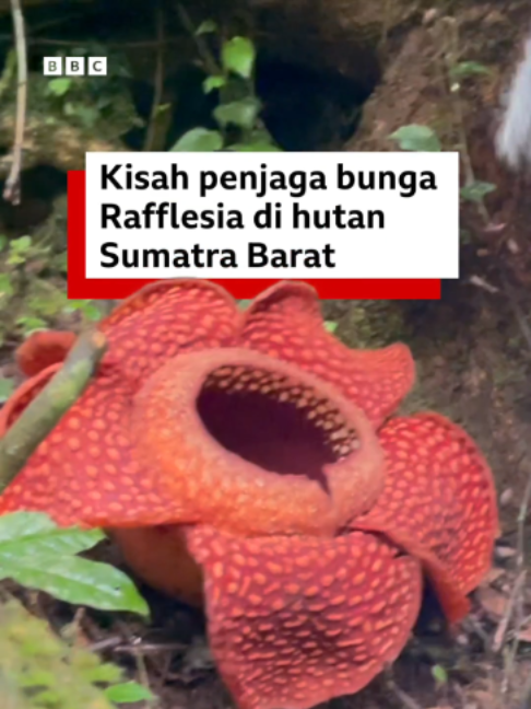 @bbcnewsindonesia