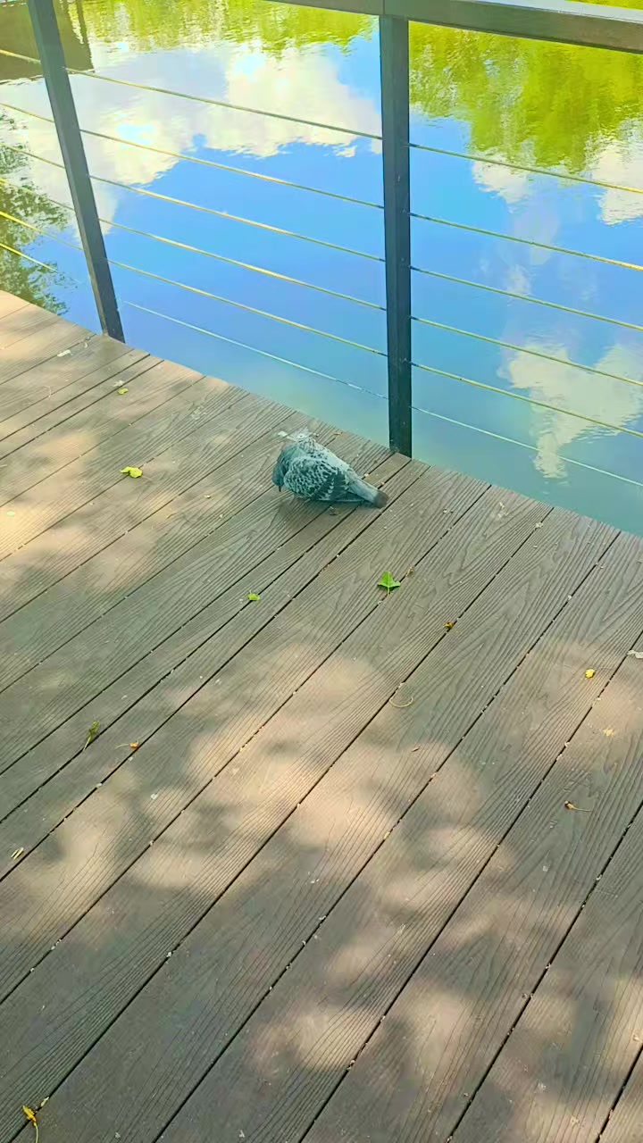 @๐ฐ๐๐๐_๐๐๐๐๐๐ท๐บ