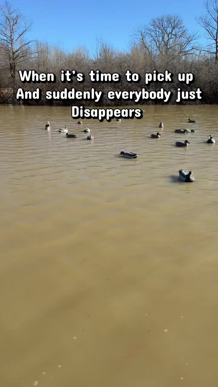 @MudFlat Media Waterfowl