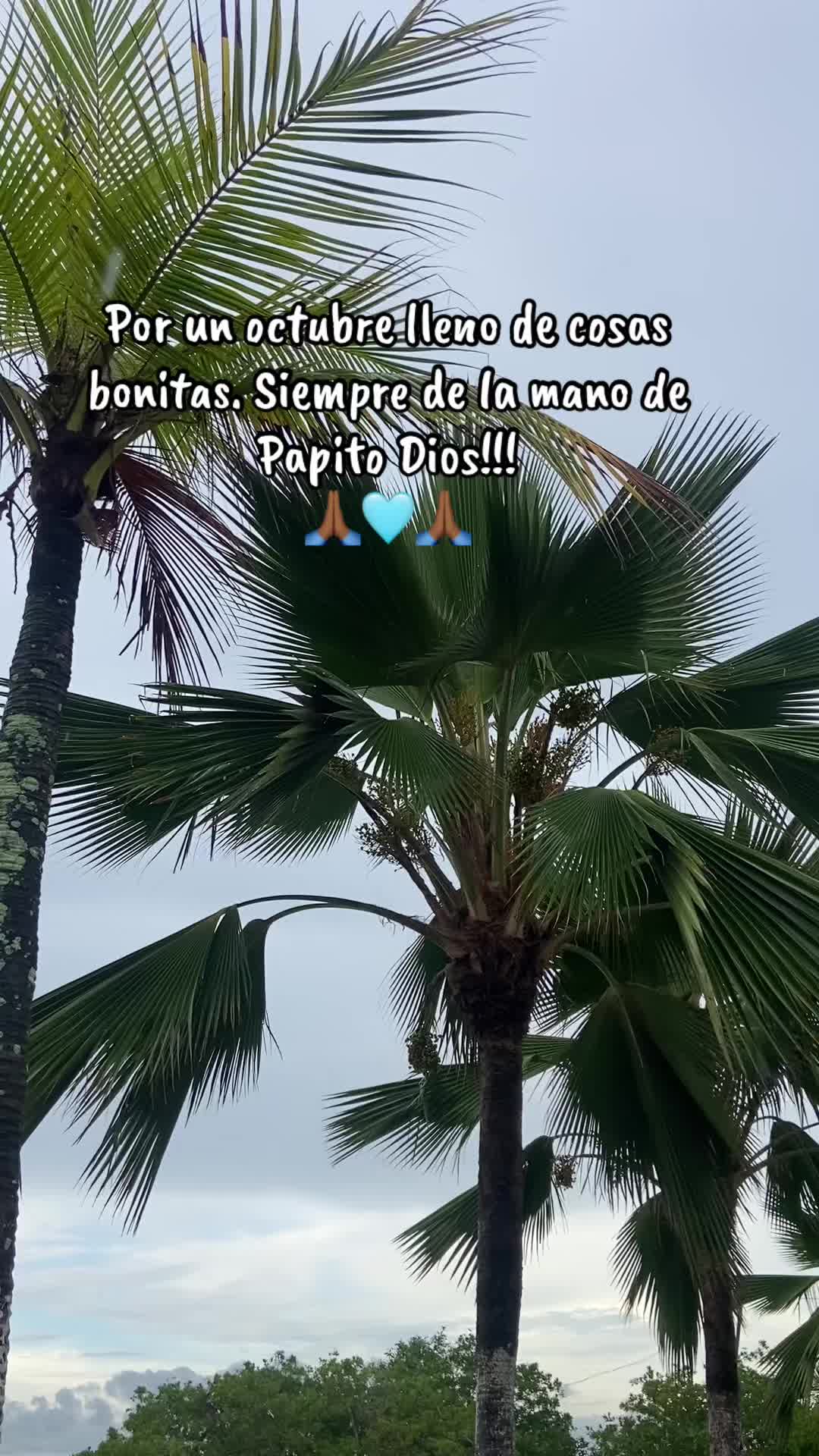 @Maye 🥰💜🖤👩🏼❤️👩🏼🍃🦋