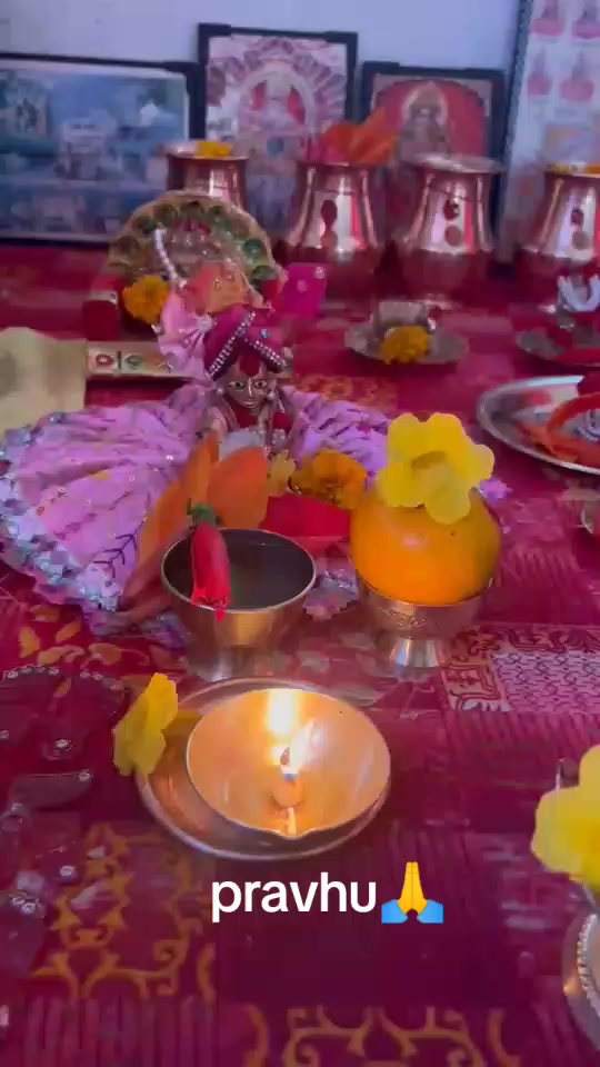 @nirmalabaral680