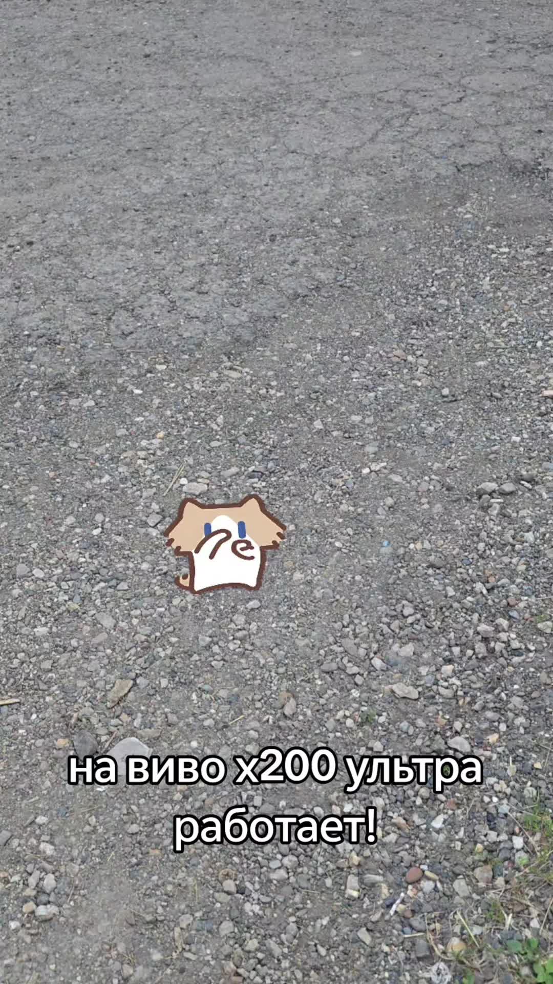 @MrDimaViper