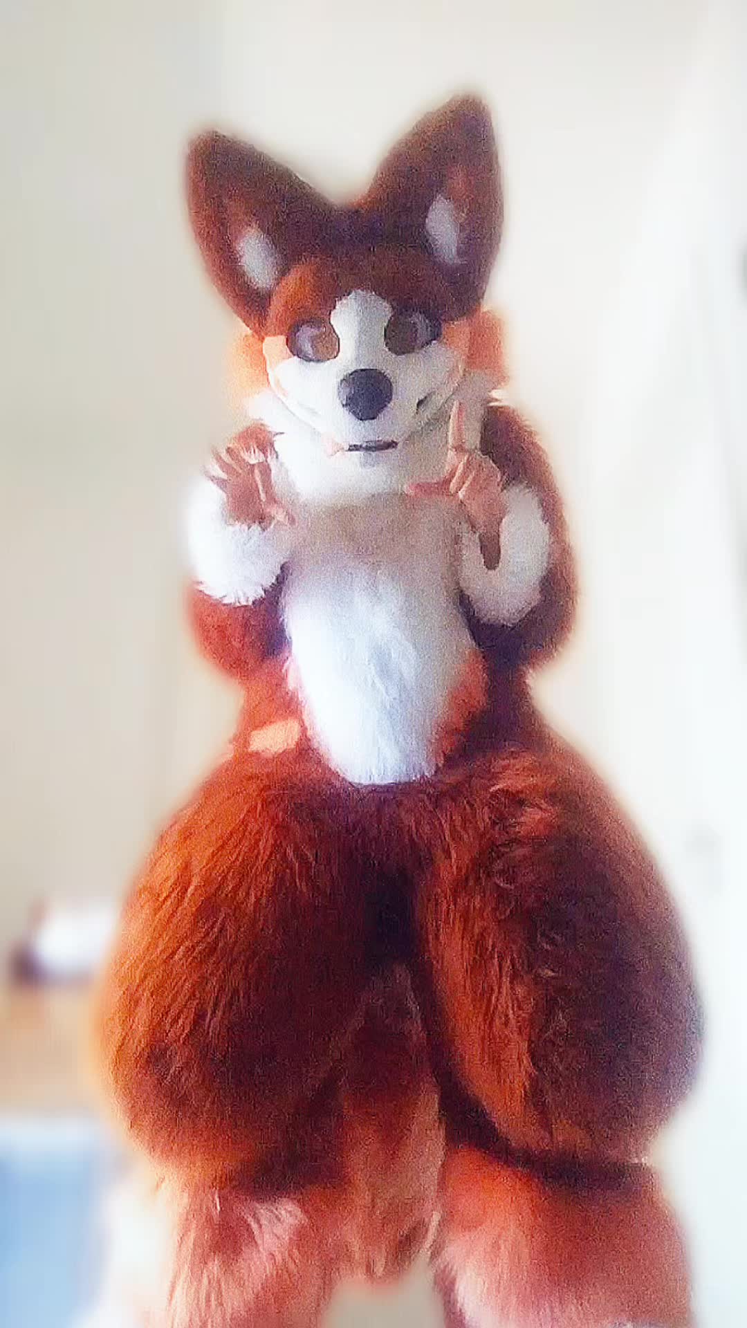 @🍑ℙ𝕖𝕒𝕔𝕙𝕠🍑