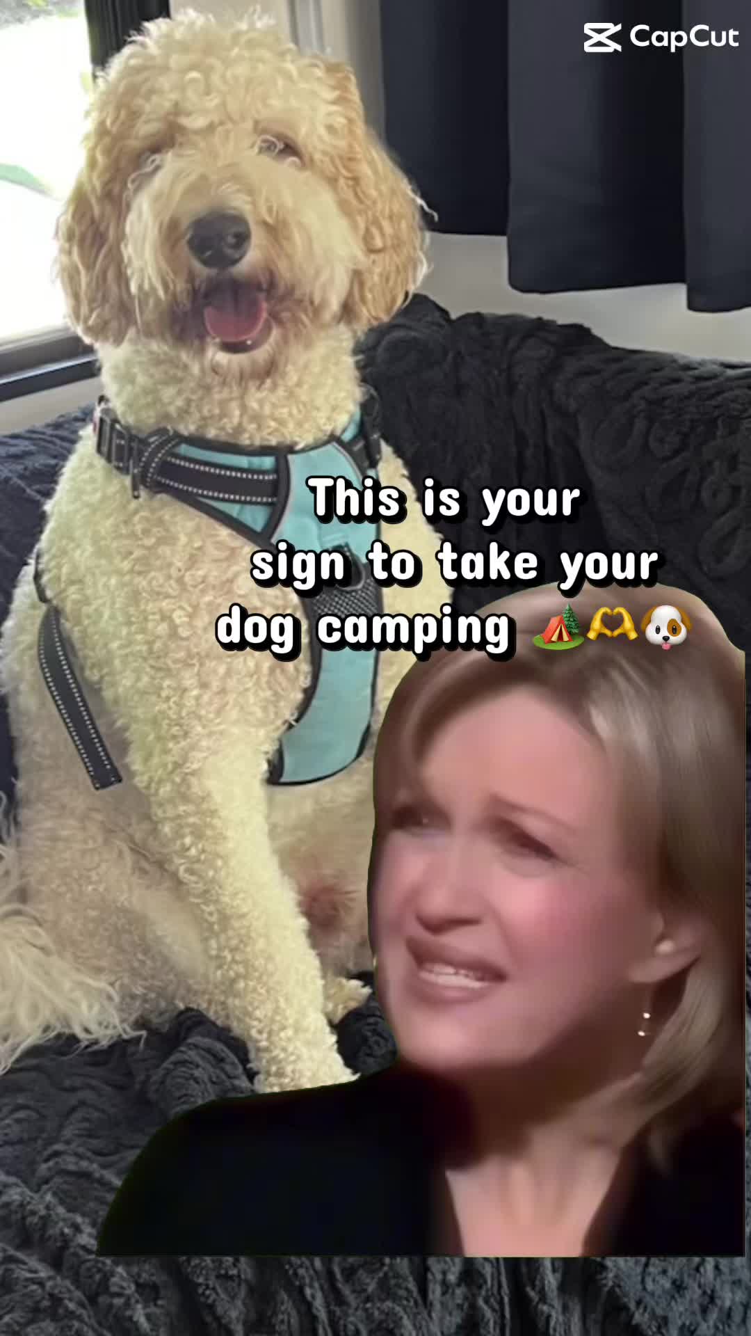 @RV Ready App