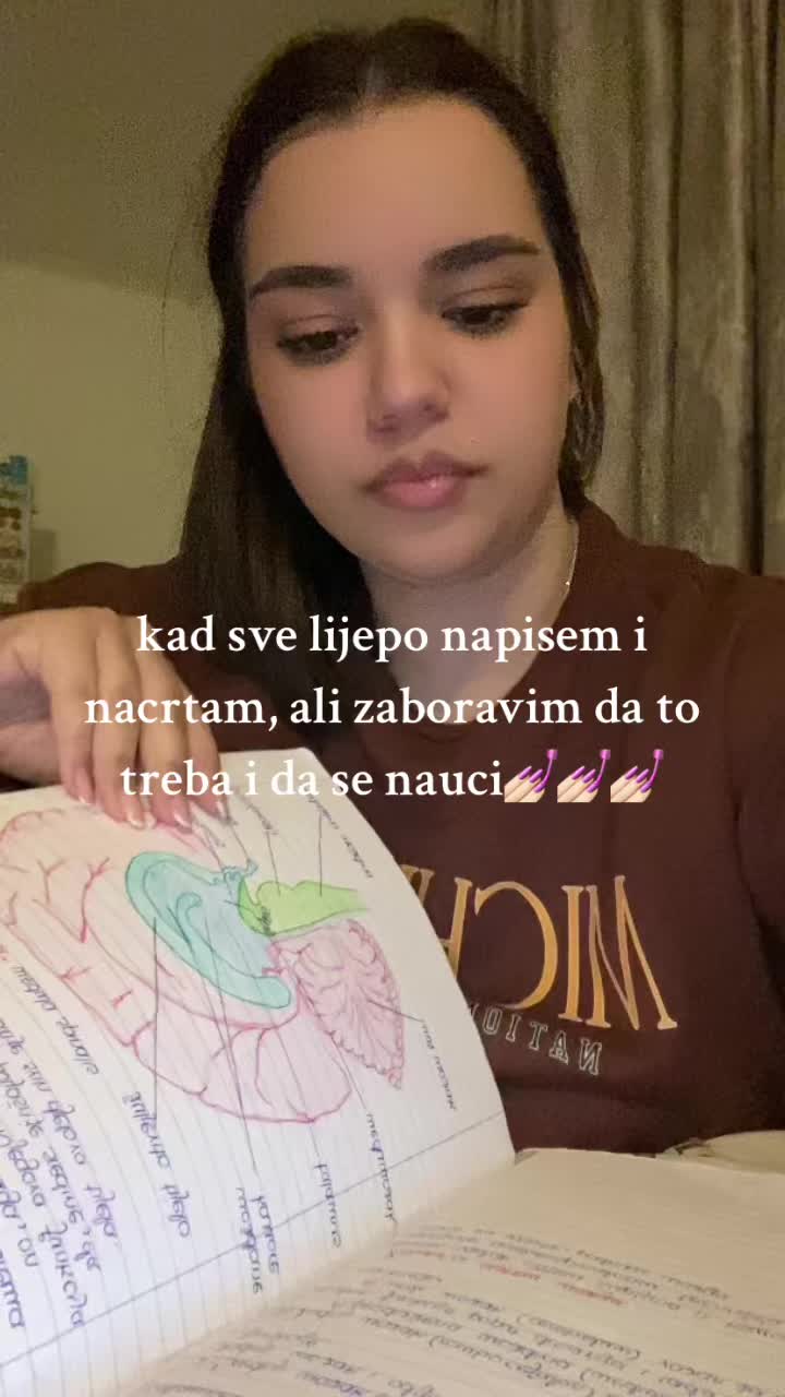 @🐢