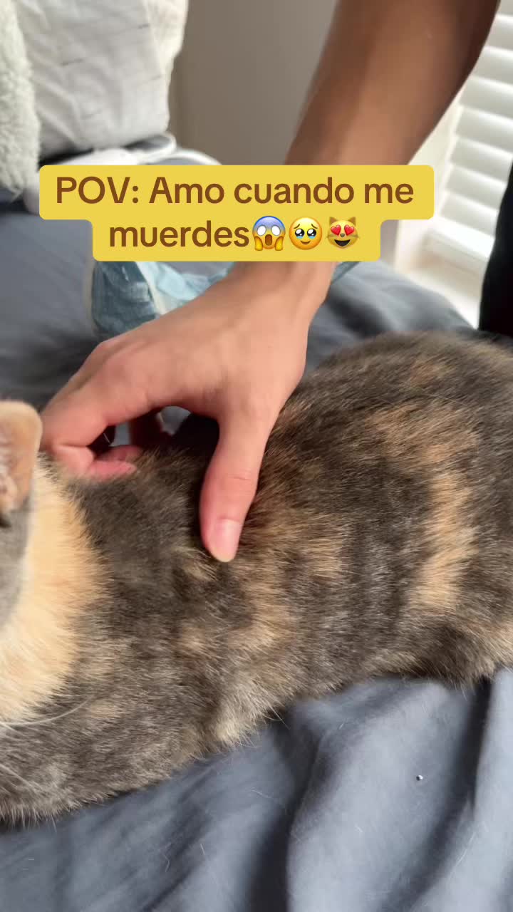 @lasoberanadelnilo