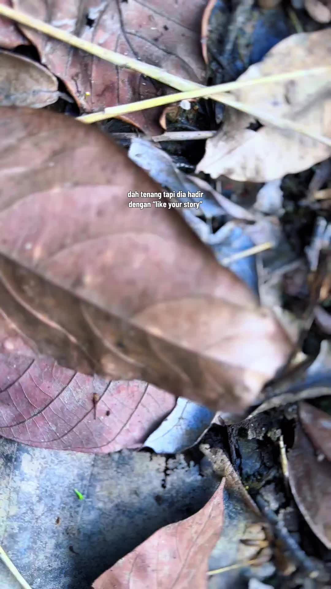 @R