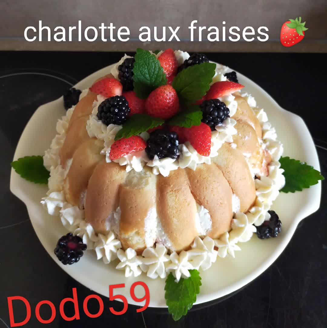 @🧑&zwj;🍳Dodo59Doriane🧑&zwj;🍳🚛