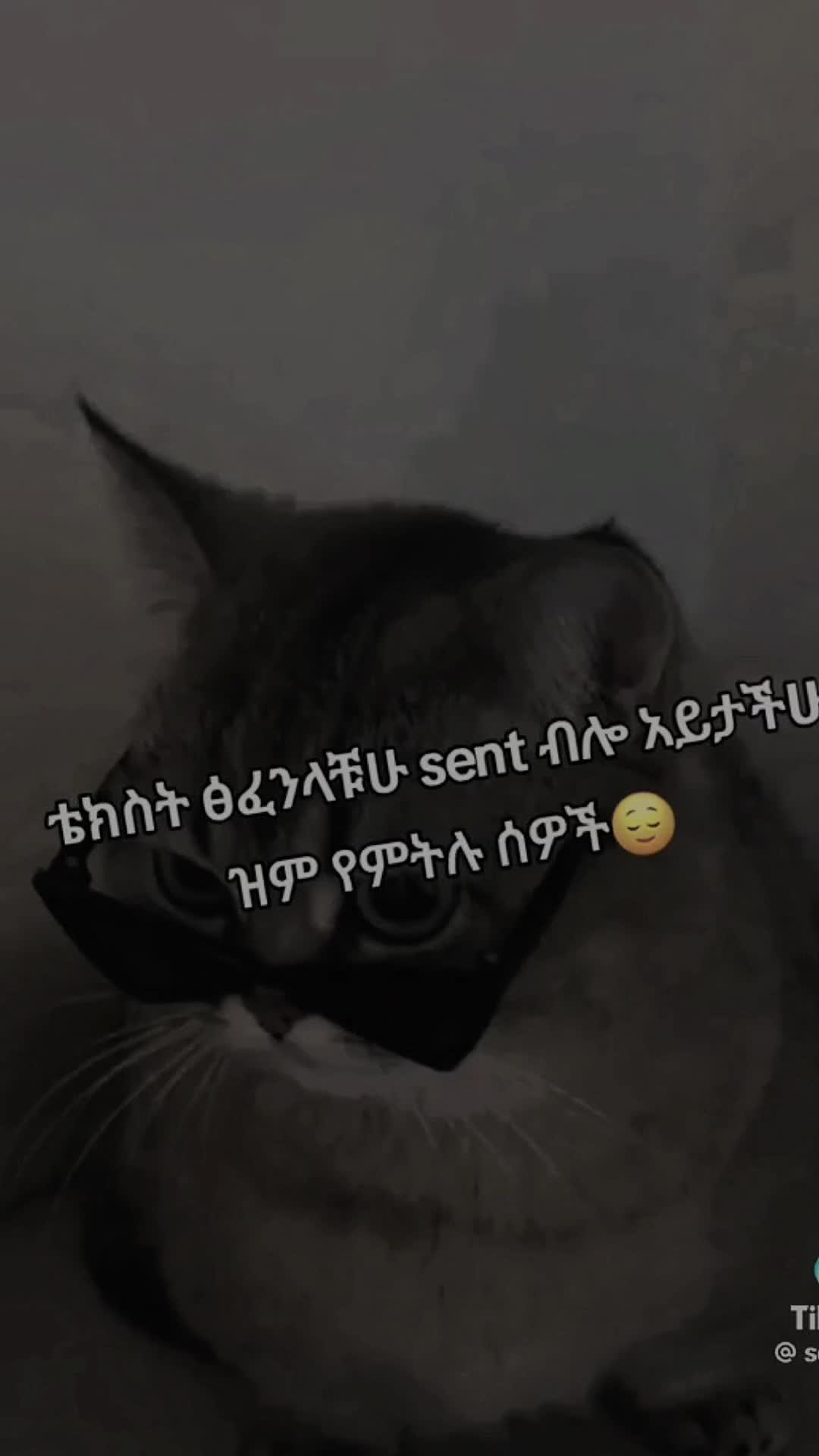 @Tinaa Fikr❤️🩹🦋