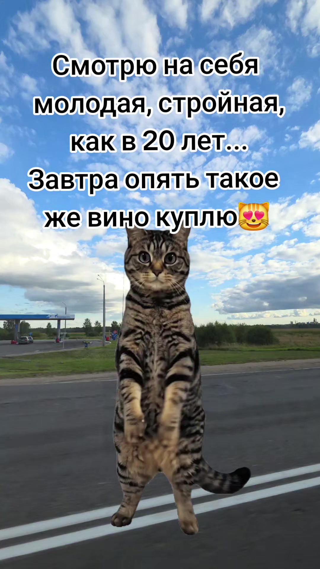 @Lesya Bronzova