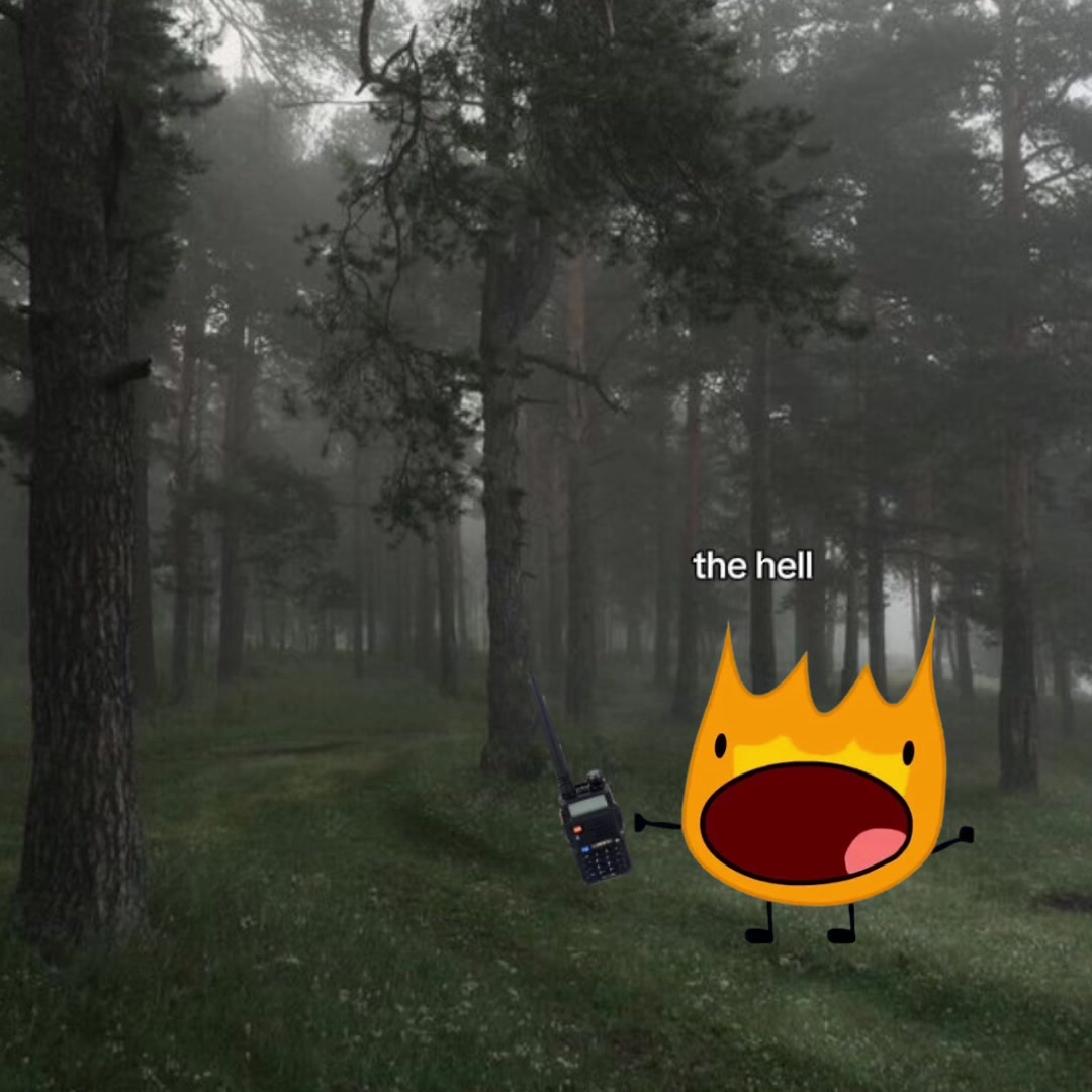 @ZĀNĒ N' FŌŪR