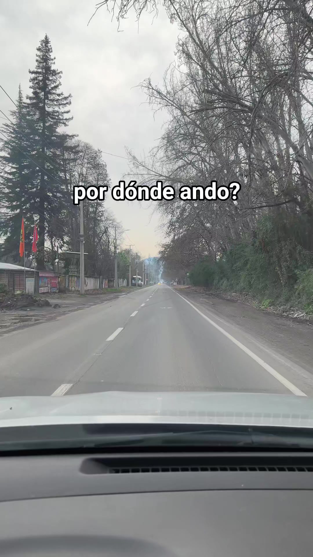 @indumentaria_colocolo_6