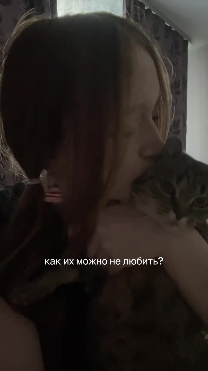 @лакрица𝝑୧