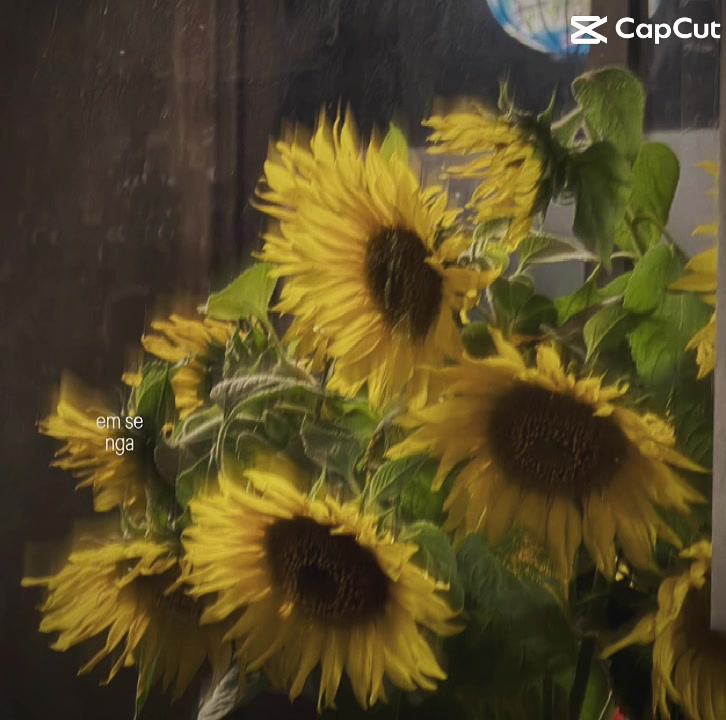 @Dươngg n&ograve;_🌻