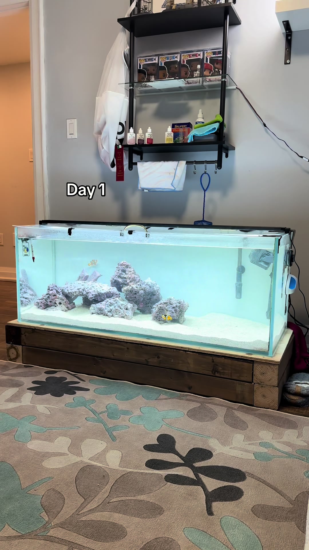 @ReefSync