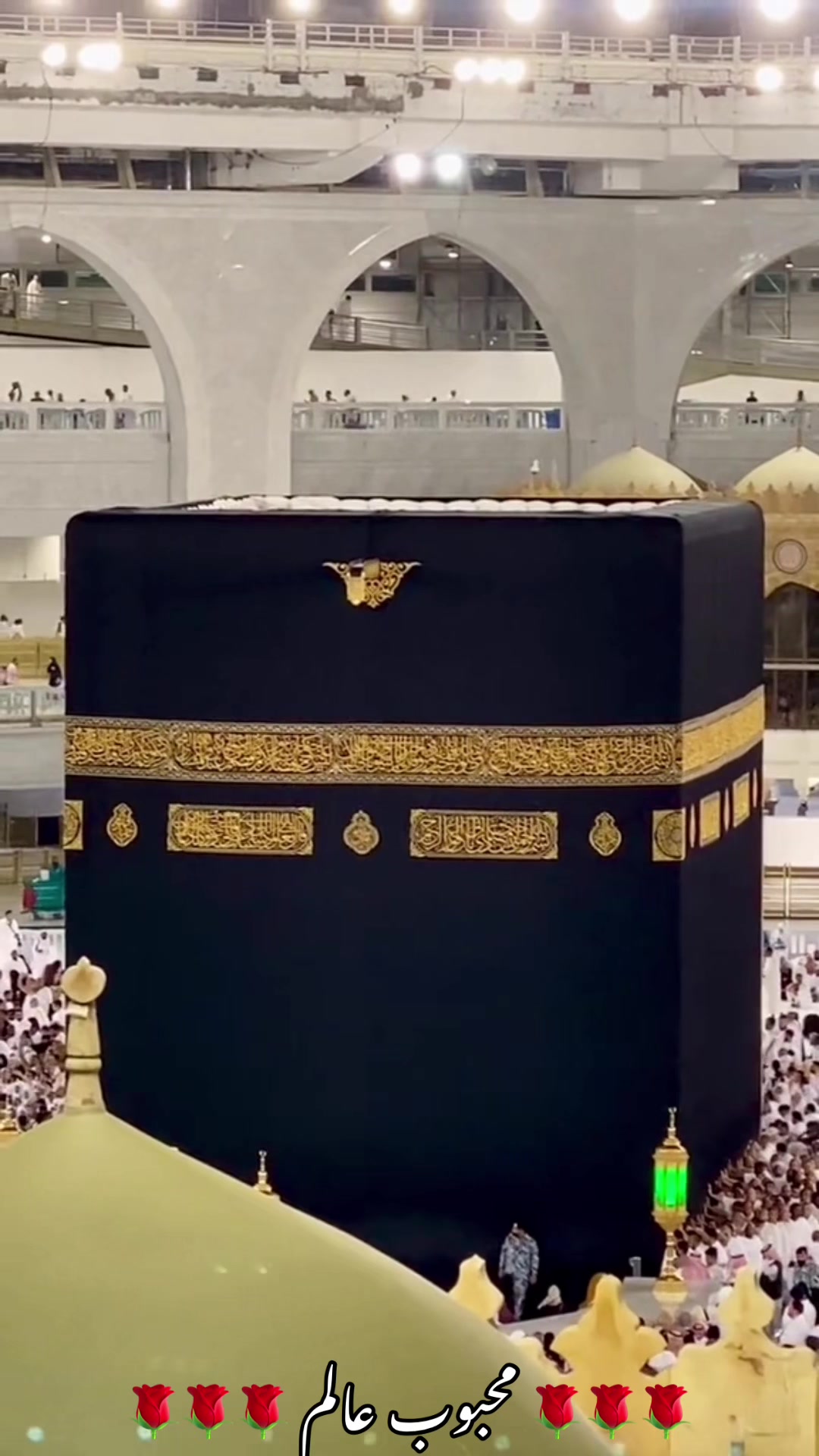 @محبوب عالم