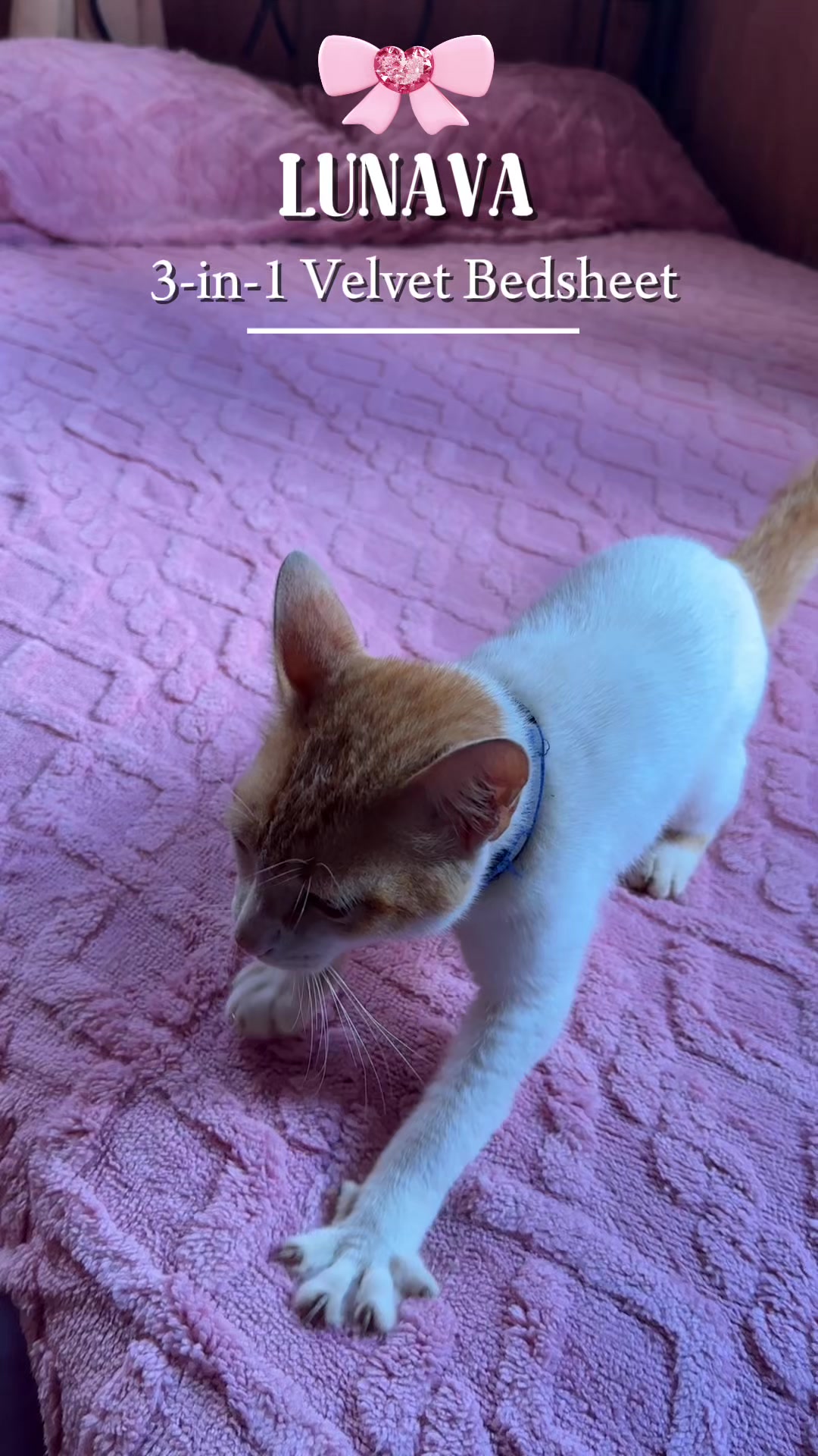 @𝓖𝓲𝓲𝓼𝓮𝓵𝓵𝓪 𐚁