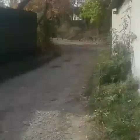 @АРСЛАН.79
