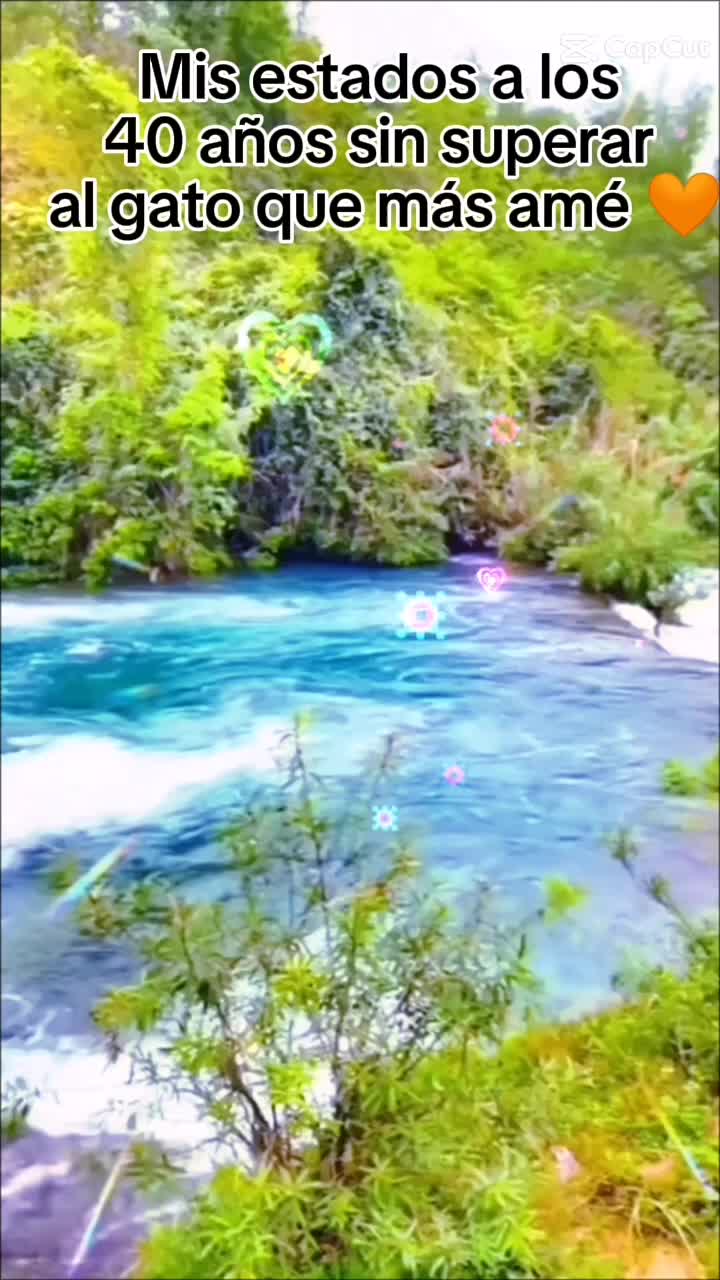 @Iris Flores 24