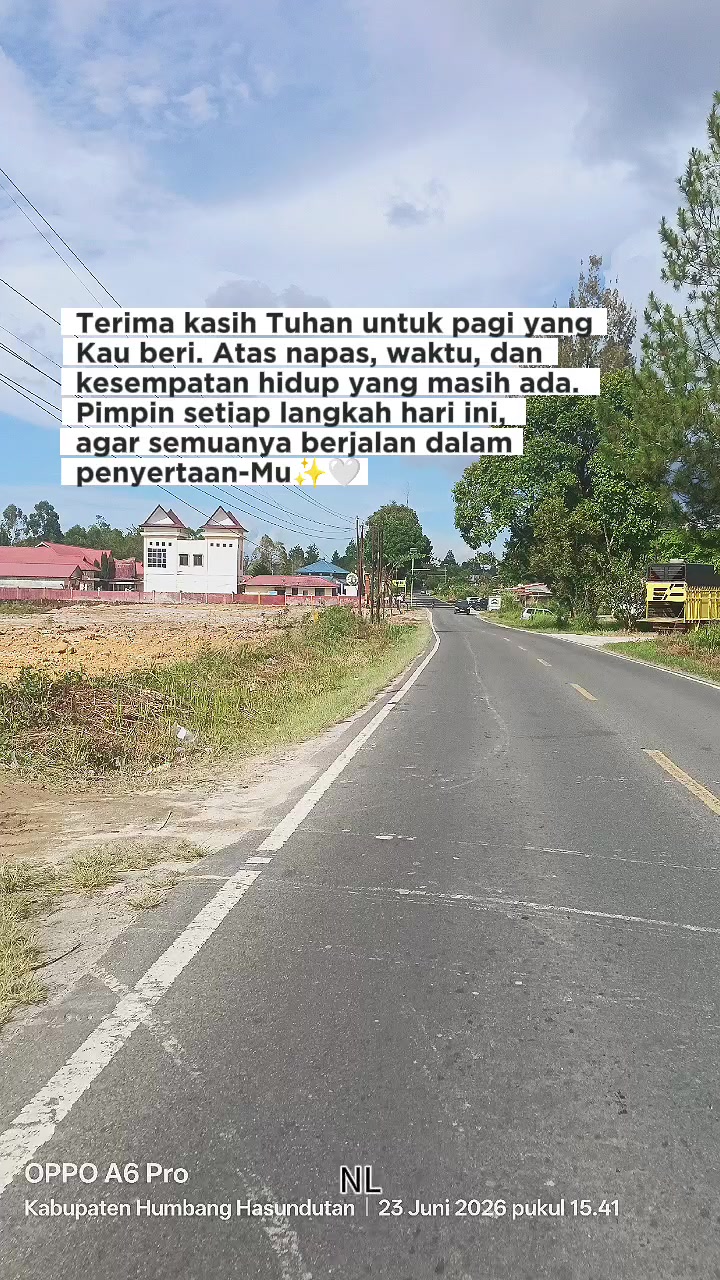 @Nellysiregar