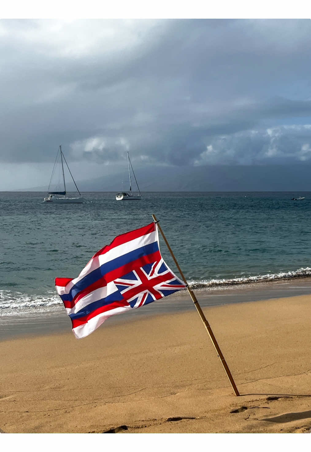 @TAY 𖤓 MAUI PHOTOGRAPHER