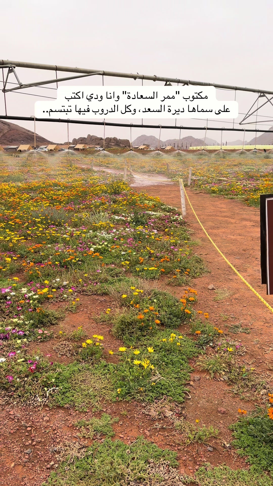 @أمل الجوف- أم الفهد