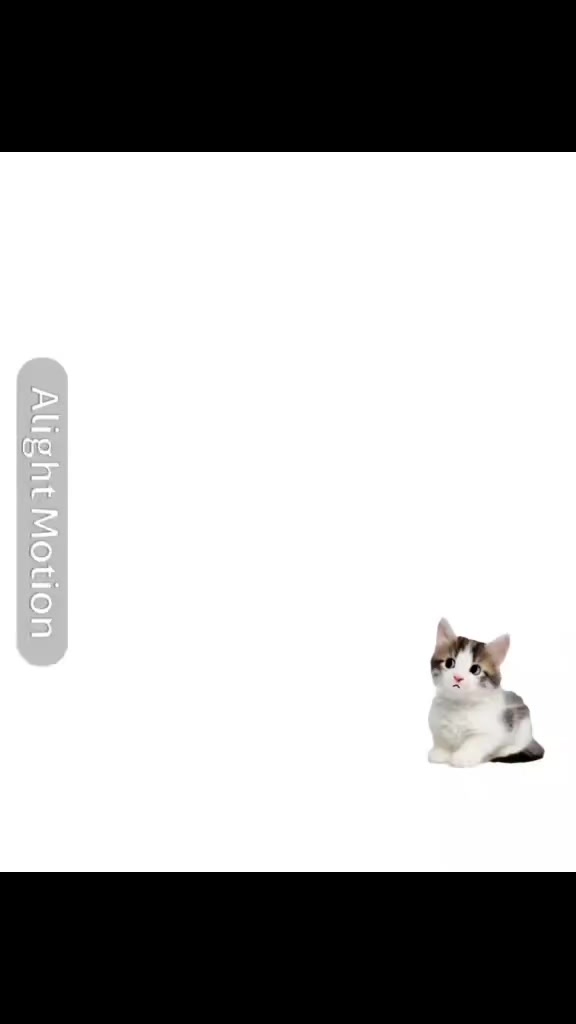 @кот