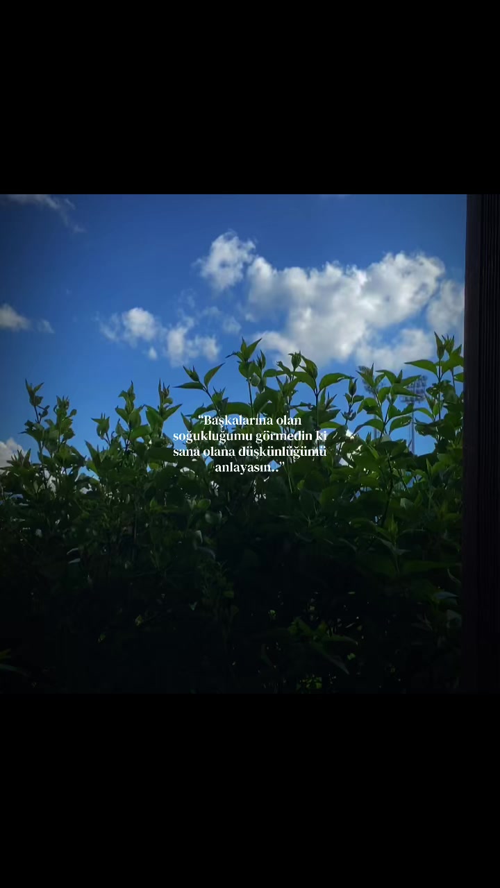 @Medine_s17