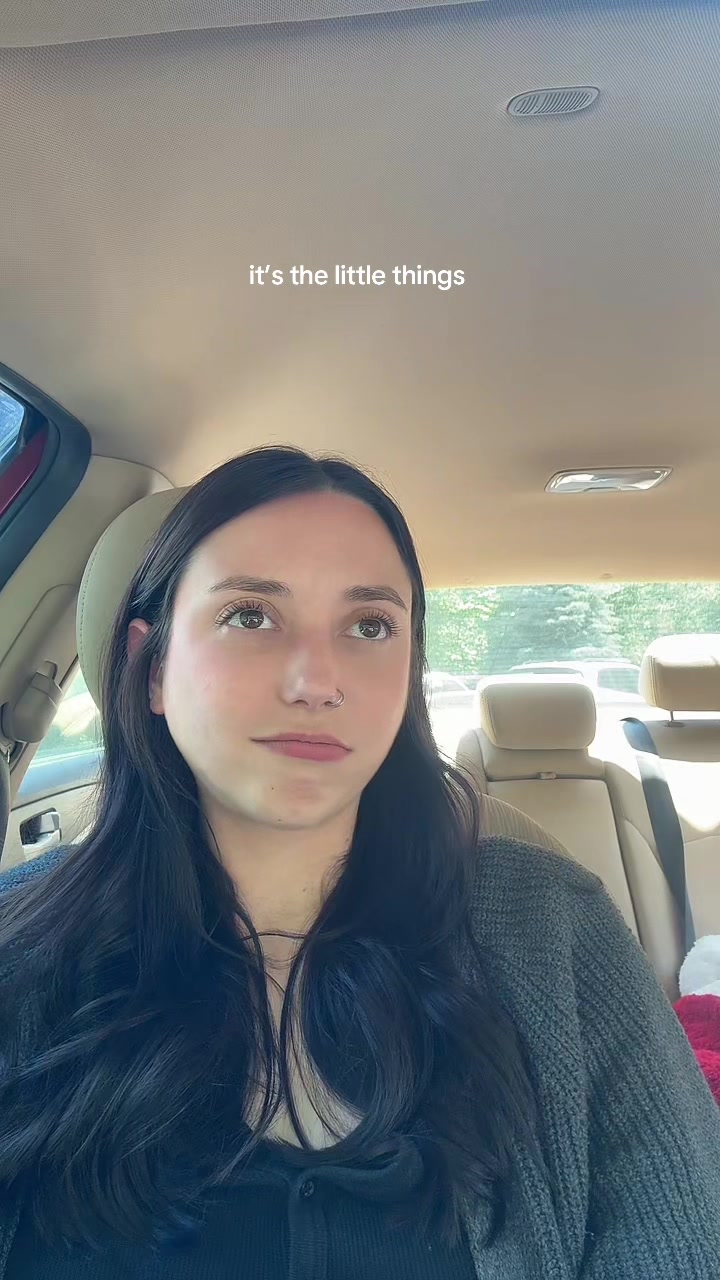 @briconatorfries