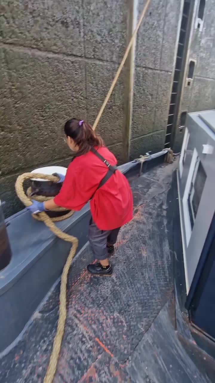 @applemae