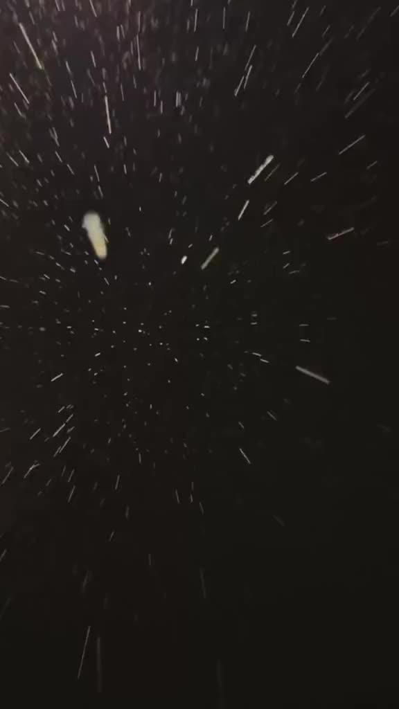 @𝑩𝒂𝒖𝒕𝒕𝒆𝒓𝒇𝒍𝒚ꨄ︎