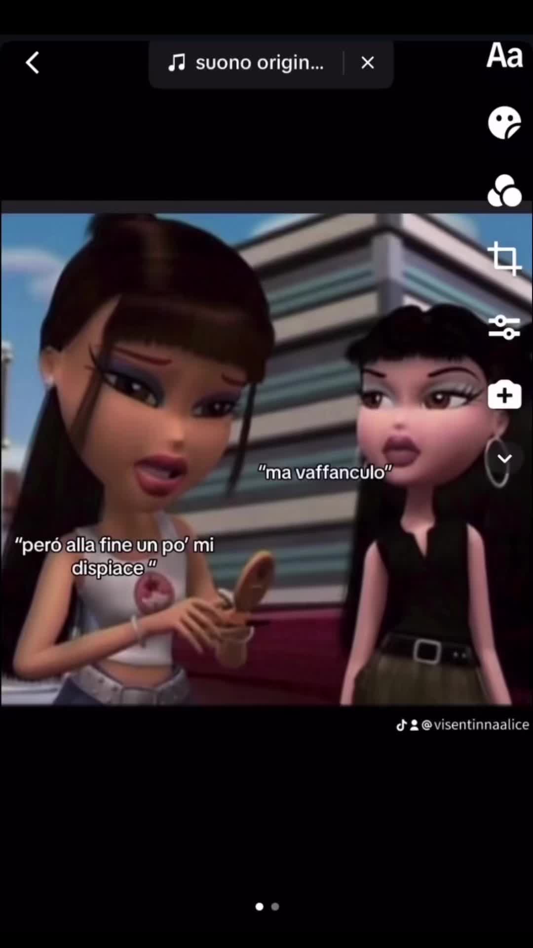 @alice.visentin
