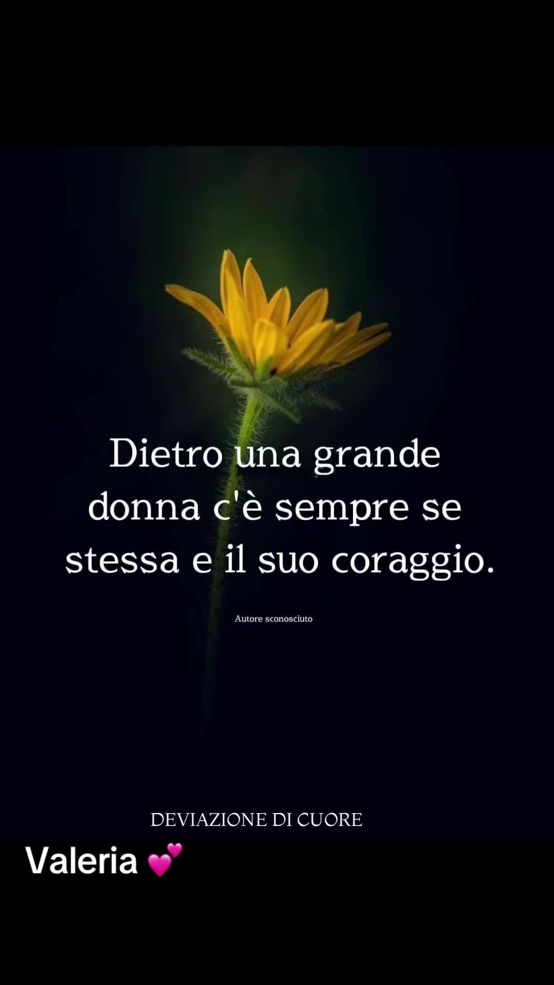 @valeriaevangelis840