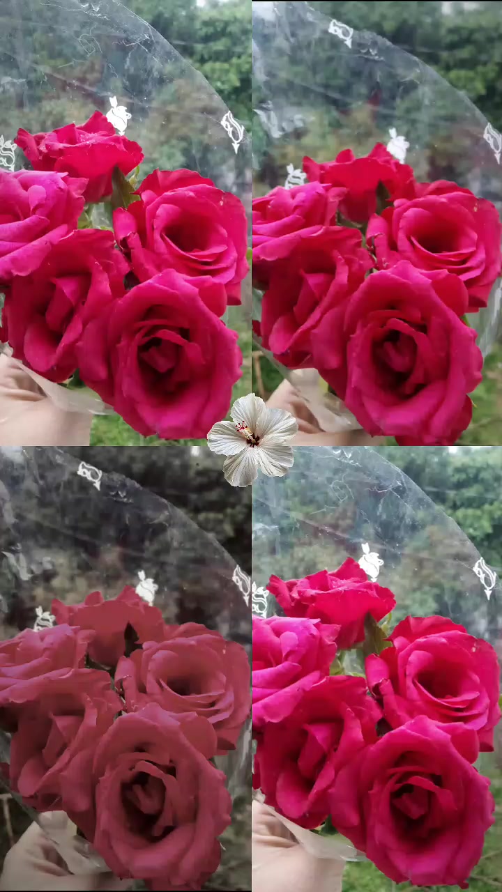 @Picci_Maye