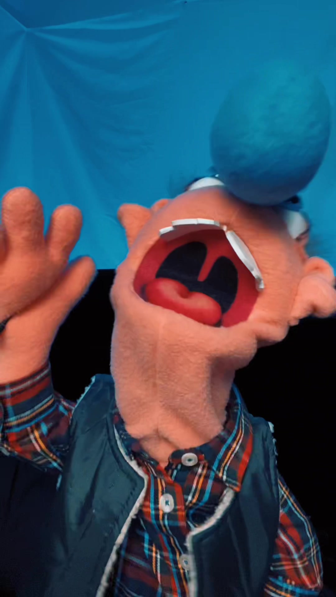 @Goodman&rsquo;s Wacky Puppets