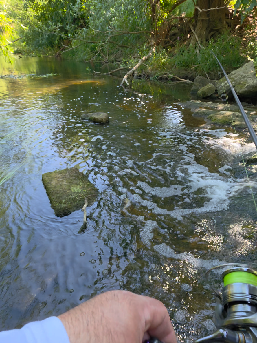@BF Angler