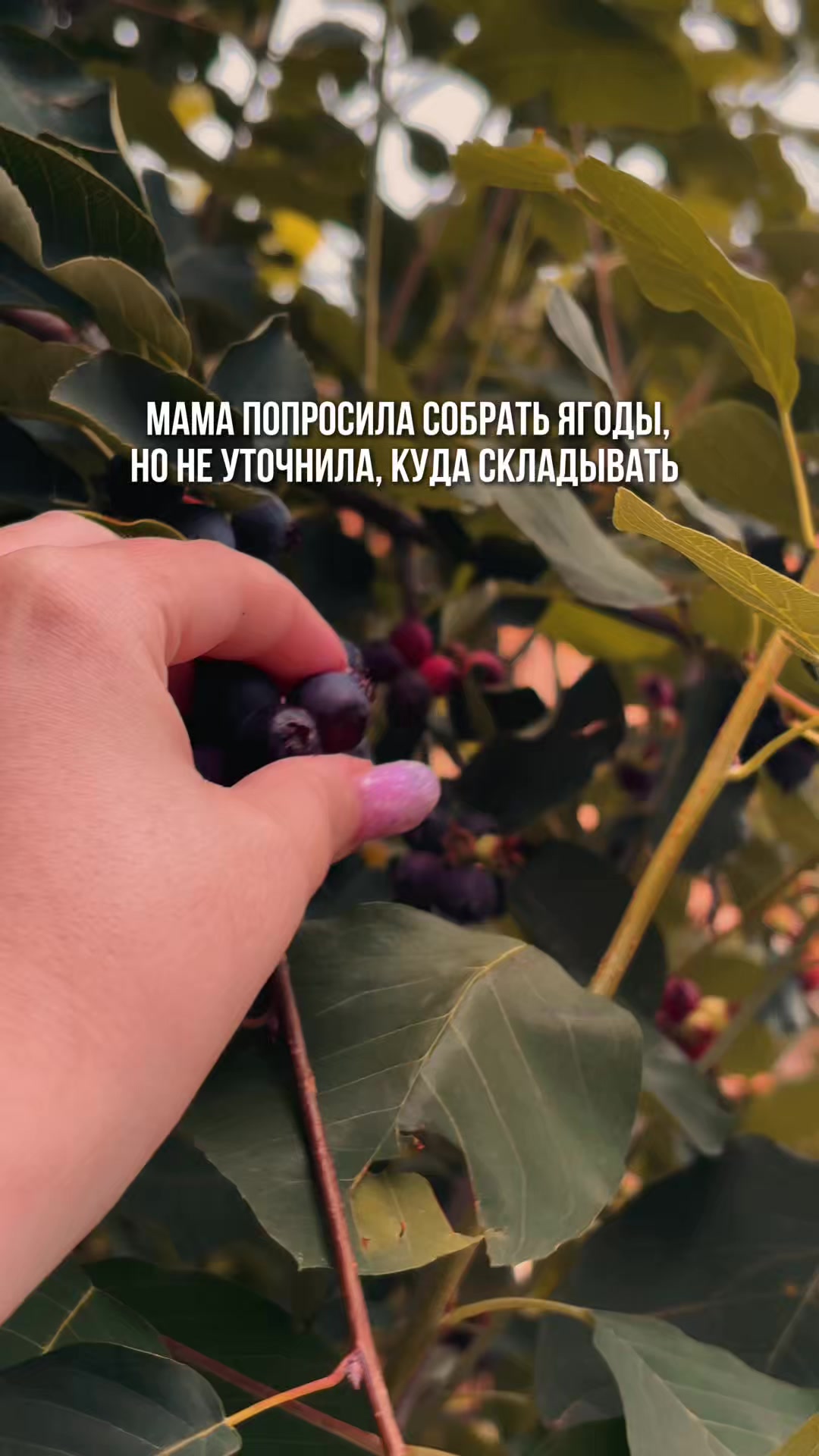 @ТГК: В гостях у Луны
