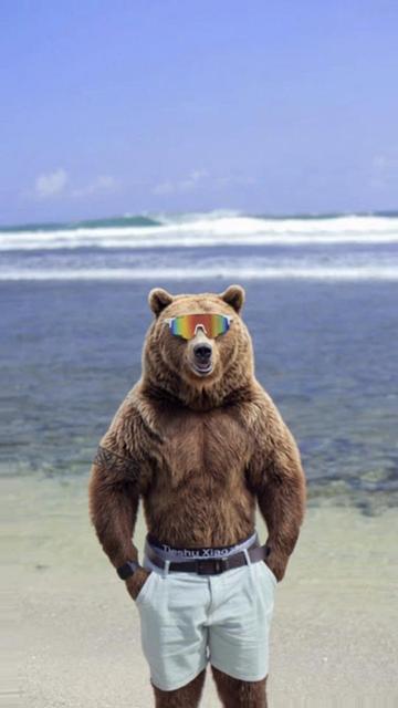 @Bearr🐻