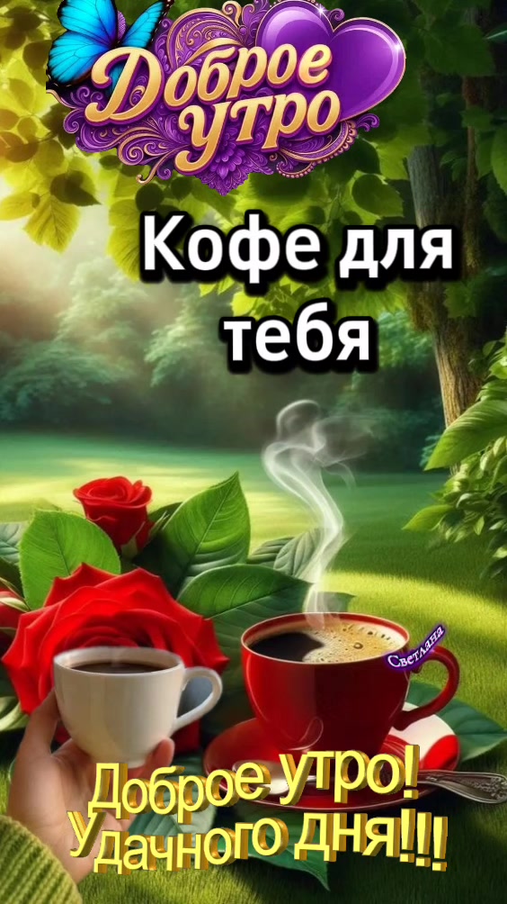 @Светлана