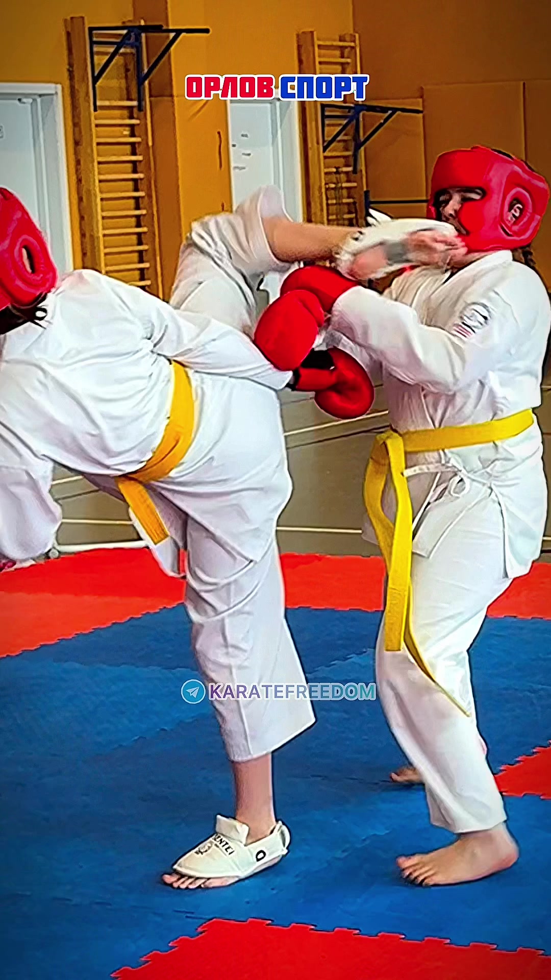 @ORLOVSPORT