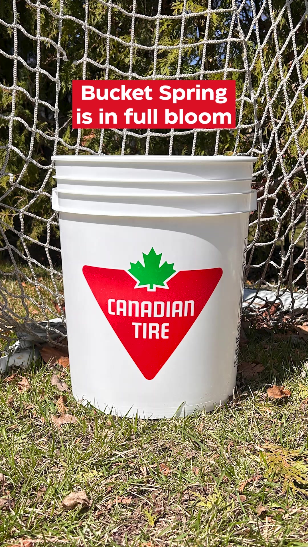 @Canadian Tire