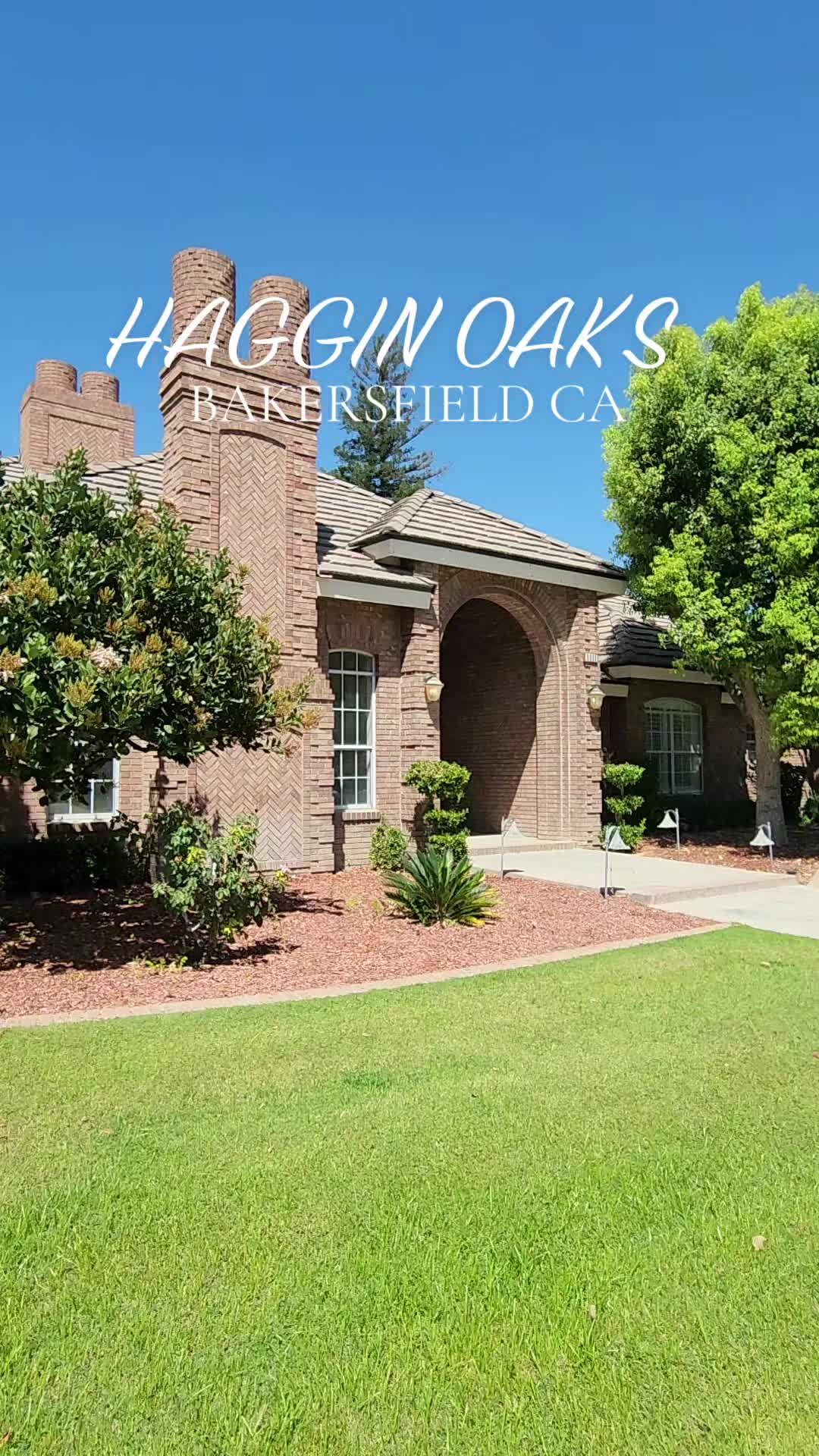 @Mr Real Estate