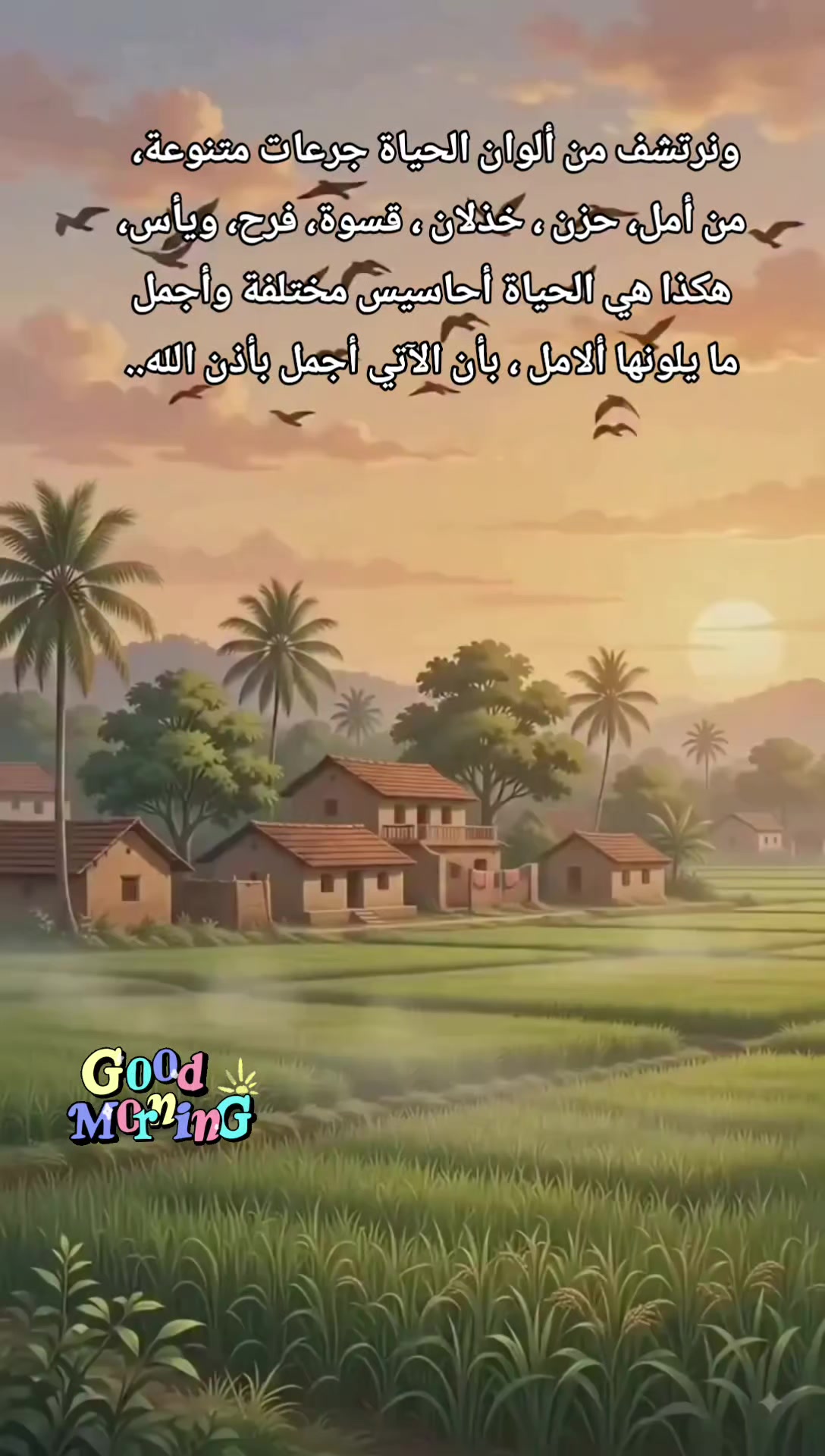 @Haydar Almaleki
