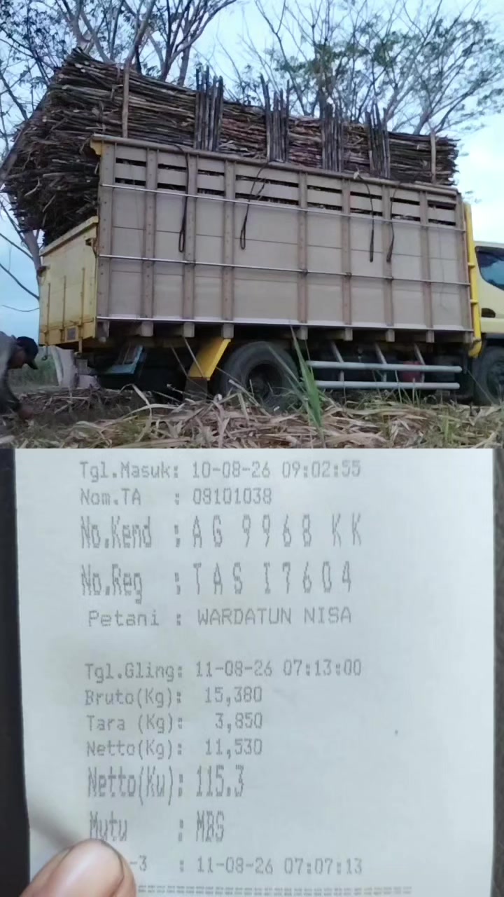 @bangjuanda591
