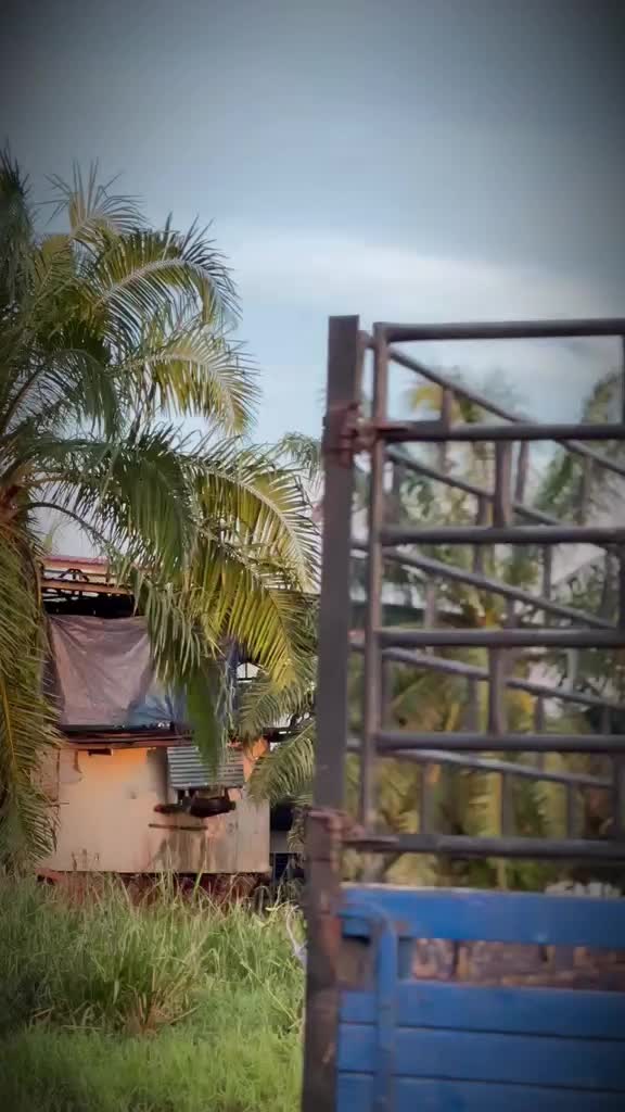 @TINESH BOSS_2|๐ธ๐ฐ