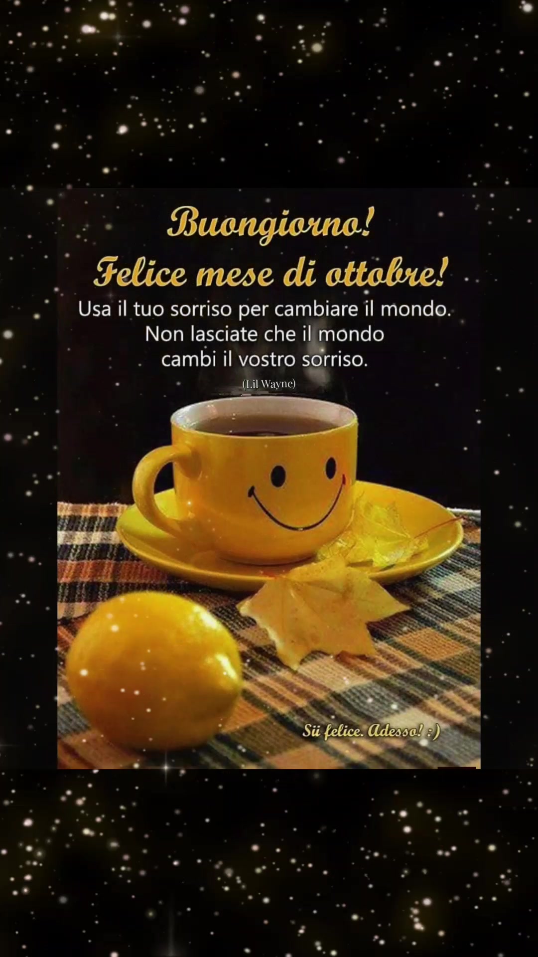 @alessandramarchi726