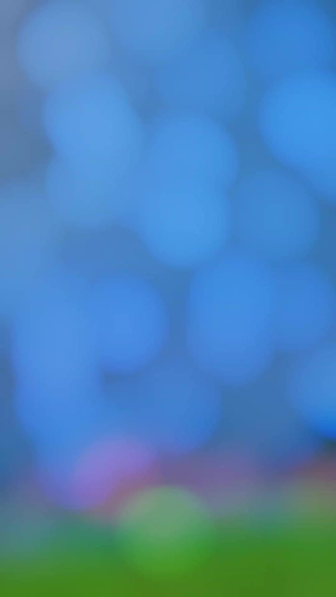 @️ رانا عُکاشہ نمبردار ✨