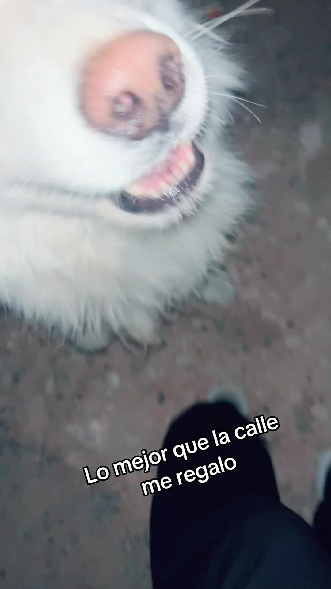 @Kriss