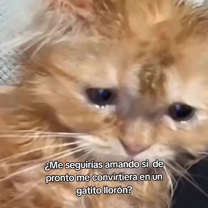 @goodvibessxd